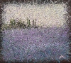 The Hushed Pulse of Summer