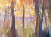 Abstract Autumn Wood