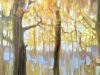 Abstract Autumn Wood