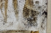Andere Welten – Neutral Gold Abstract Triptych