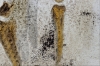 Andere Welten – Neutral Gold Abstract Triptych