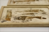 Andere Welten – Neutral Gold Abstract Triptych