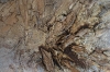 Oxidized Horizon – Textured Abstract Earth Tone Painting