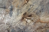 Oxidized Horizon – Textured Abstract Earth Tone Painting