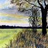 Awakening , Fen Oak