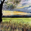 Awakening , Fen Oak