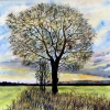 Awakening , Fen Oak