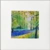 Bluebell Woodland