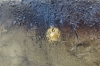 Golden Terrain – Gold and Earth Tone Textured Abstract Painting