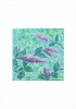 Butterfly Bush