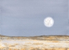 CALM AT WICKED WOOSTER COUNTY...NEW MEXICO