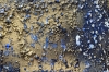 Molten Silence – Blue and Gold Textured Abstract Painting