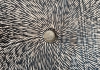 Magnetic Fields #1
