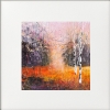 Colours of Autumn, Silver Birch trees