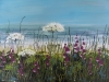 Cornish Coast Meadow