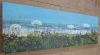 Cornish Coast Meadow