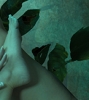 Verdure 