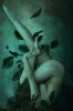 Verdure 