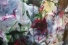 Where Wild Flowers Remember the Storm 