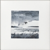 4 monochrome marshes scenes