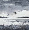Monochrome ducks rainclouds, marshlands framed