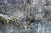 Leaving Paris – Neutral Gold Textured Abstract Painting