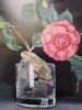 Flower in vase