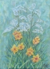 Flowers White and Yellow
