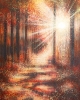Forest At Sunset
