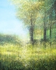 Forest Edge Summer Trees