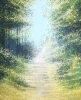 Forest Path In Sunlight