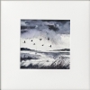 4 monochrome marshes scenes