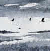 Monochrome - Brooding Marsh skies, Geese flying over framed