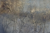 Golden Horizon – Gold & Blue Textured Abstract Painting