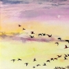 Homeward Flight