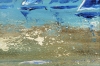 Recuerdos – Blue Sailing Boats Seascape Painting