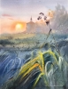 The Evening Meadow