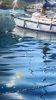 A Harbor of Dreams