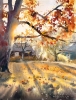 The golden light of autumn