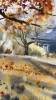 The golden light of autumn