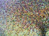 Rainbow Tree V