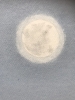 CALM AT WICKED WOOSTER COUNTY...NEW MEXICO
