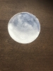 KANDINSKY FULL MOON