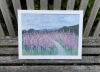 Foxgloves, LLyn Crafnant