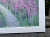 Foxgloves, LLyn Crafnant