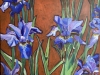 Irises
