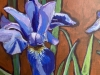 Irises