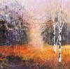 Colours of Autumn, Silver Birch trees