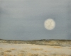 CALM AT WICKED WOOSTER COUNTY...NEW MEXICO
