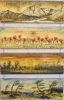 Landscape, The four seasons,